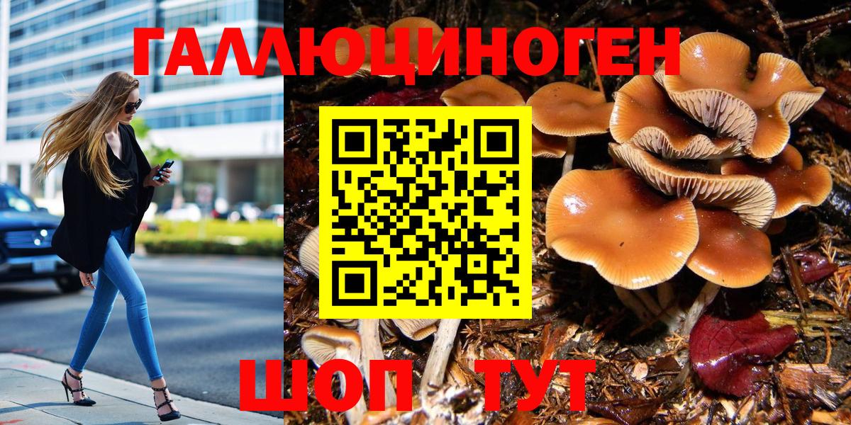 Галлюциногенные грибы Magic Shrooms  сколько стоит  Вход с VPN  Михайловка  Галлюциногенные грибы ЛСД 